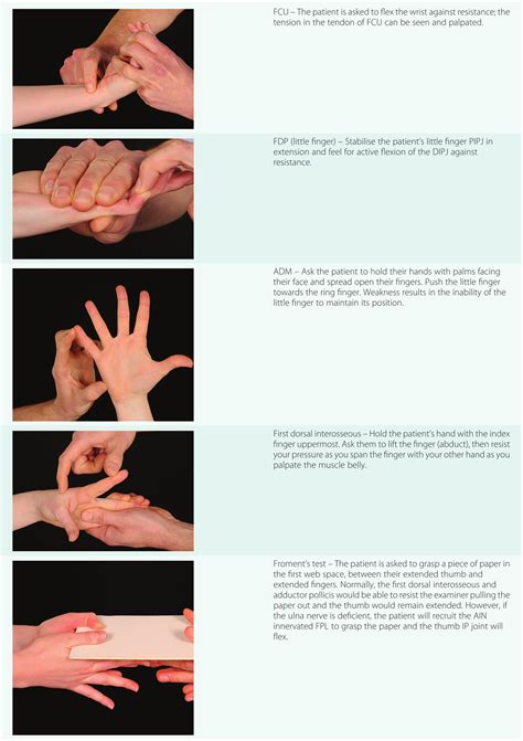 wrist flexion and median nerve compression test|median nerve entrapment test.